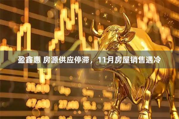 盈鑫惠 房源供应停滞，11月房屋销售遇冷