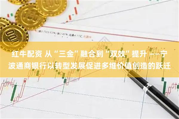 红牛配资 从“三金”融合到“双效”提升 ——宁波通商银行以转型发展促进多维价值创造的跃迁